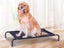 PTN NEW Dog Bed Sale - Sale Sale Carousel 3