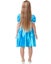 Disney Alice In Wonderland Classic Girls Costume Carousel 2