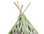 Pet House Pet Teepee - Green Carousel 4