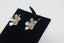 Stg Silver Earrings New zealand Alpine Gentian Carousel 3