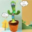 Dancing Cactus Toy Carousel 8