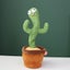Dancing Cactus Toy Carousel 9
