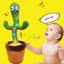 Dancing Cactus Toy Carousel 11
