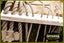 Loading Image 1 of 1