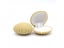 1pcs 5Colors Pink Shell Velvet Jewelry Display Box For Earrings Necklace Carousel 14