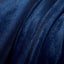 Thick Fuzzy Soft Sherpa Fleece Bed Sofa Blankets-Blue Carousel 5