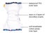 100pcs*BULK*Happy Flute®upgraded toilet training pants/swim nappy w/ SNAP BUTTON Carousel 4