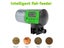 PTN NEW Fish Feeder Sale Sale Carousel 6