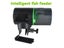 PTN NEW Fish Feeder Sale Sale Carousel 14