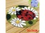 Latch Hook Kit Carousel 3
