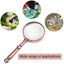 Magnifying Glass Classic loupe Magnifier Carousel 6