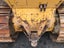 Bulldozer Carousel 3