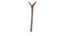Trixie Bird Toy Natural Wood "Y-Perch" 35cm Carousel 1