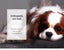 Pawz Pet Bed Foldable Dog Puppy Beds Cushion Pad Pads Soft Plush Black L Carousel 9