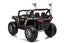 Kids Ride on Car Buggy 12V Battery 2-seater Carousel 4