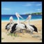 Patchwork Quilting Sewing Fabric Penguin Pelican Platypus Panel 41x110cm Carousel 4
