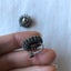 Vintage Screw Back Old Austrian Earring's Carousel 7