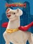 League Of Pets Movie Novel Carousel 1