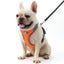 Dog Harness Vest Breathable Dog Training Harness Adjustable Reflective Nylon705D Carousel 3