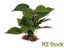 PTN NEW Aquarium Fish Tank Plants Sale Sale Carousel 3
