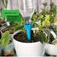 10Pcs Self Watering Plant Spikes Garden H tools *Local STOCK NOW* Carousel 10