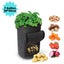 Plant Grow Bags Greenhouse Vegetable Growing Bags (30*35cm) Carousel 1