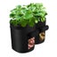 Plant Grow Bags Greenhouse Vegetable Growing Bags (30*35cm) Carousel 6