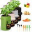 Plant Grow Bags Greenhouse Vegetable Growing Bags (30*35cm) Carousel 7