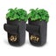 Plant Grow Bags Greenhouse Vegetable Growing Bags (35*40cm) Carousel 4