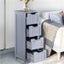 Storage Cabinet Carousel 1