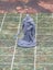 Hero Set Dragon Hunters Dungeons and Dragons dice4dungeons Carousel 5