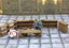Townsfolke Scatter Robagon Set#3 Furniture Gloomhaven Dungeons and Dragons Carousel 2
