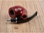 Classical Detachable Wooden Cigarette Tobacco Smoking Pipe Carousel 5