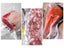 PTN NEW Vacuum Sealer Bags Sale Sale Sale Carousel 5