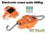 PTN NEW Crane Scales 300KG Sale Sale Sale Carousel 3
