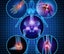 MAGNESIUM AND BORON OIL SPRAY (Arthritis Pain Relief plus Much More) - NZ MADE Carousel 5
