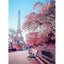 JIEME DIY 5D Diamond Painting Flower Full Round Mosaic Landscape Flower D CHK177 Carousel 7