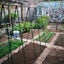 Plant Support Awning Pillar Accessories A Clip Quickly Garden Up Steel Cl CHK177 Carousel 3