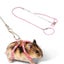 New Small Pet Adjustable Soft Harness Bird Parrot Mouse Hamster Ferrets R CHK177 Carousel 3