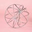 Stainless Steel Round Sphere Feed Dispense Exercise Hanging Hay Ball Guin CHK177 Carousel 3
