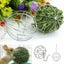 Stainless Steel Round Sphere Feed Dispense Exercise Hanging Hay Ball Guin CHK177 Carousel 5