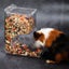 Hamster Rabbit Food Dispenser Feeder Plastic Clear Automatic Pet Feeder F CHK177 Carousel 2