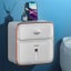 Wall Mount Toilet Paper Holder Waterproof Tissue Box Creative Tray Roll T CHK177 Carousel 5