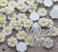 9/13/16/22/26mm white daisy flower resin flatback cabochon DIY jewelry ph CHK177 Carousel 1