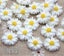 9/13/16/22/26mm white daisy flower resin flatback cabochon DIY jewelry ph CHK177 Carousel 3