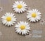 9/13/16/22/26mm white daisy flower resin flatback cabochon DIY jewelry ph CHK177 Carousel 6