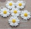 9/13/16/22/26mm white daisy flower resin flatback cabochon DIY jewelry ph CHK177 Carousel 8