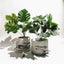 Large 6inch Round Concrete Flower Pot Silicone Mold Succulent Planter Sil CHK177 Carousel 4
