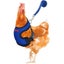 Loading Image 1 of 1