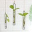Nordic Decoration Home Flower Wall Vase Flower Test Tube Vases Clear Glas CHK177 Carousel 4